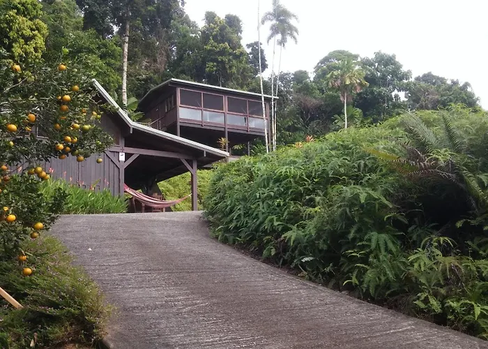 Daintree Holiday Homes - La Vista