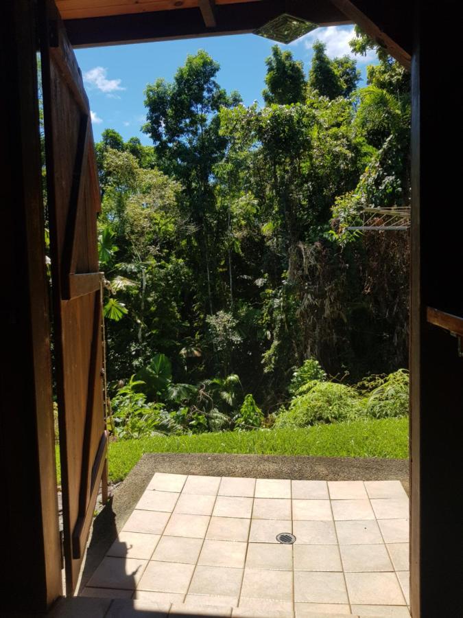 Daintree Homes - La Vista * Cow Bay