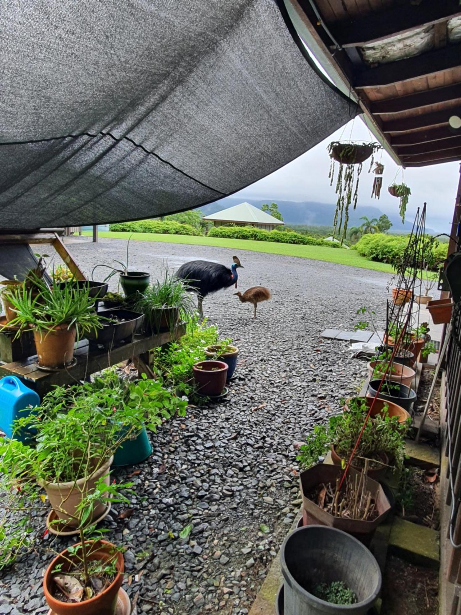 Daintree Homes - La Vista *